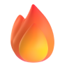 Portfolio Showcase Icon